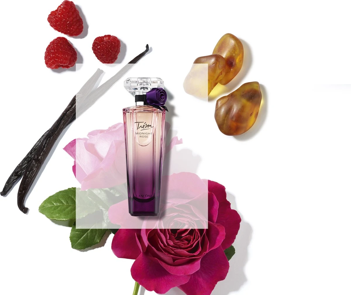 Lancôme Trésor Midnight Rose 50 Ml - Eau De Parfum - Damesparfum - Afbeelding 3