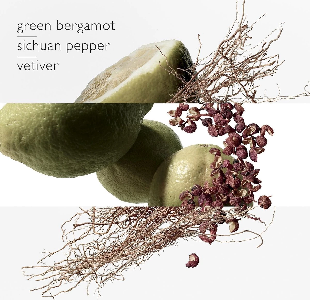 Hermes - Terre D´Hermes Eau Intense Vetiver - Eau De Parfum - 50ML - Afbeelding 8