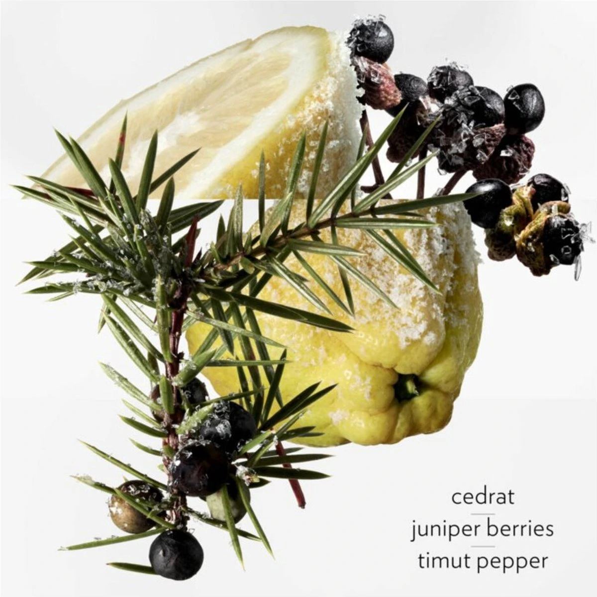 Hermes Terre D'Hermes Eau Givree Eau De Parfum 100 Ml - Afbeelding 2